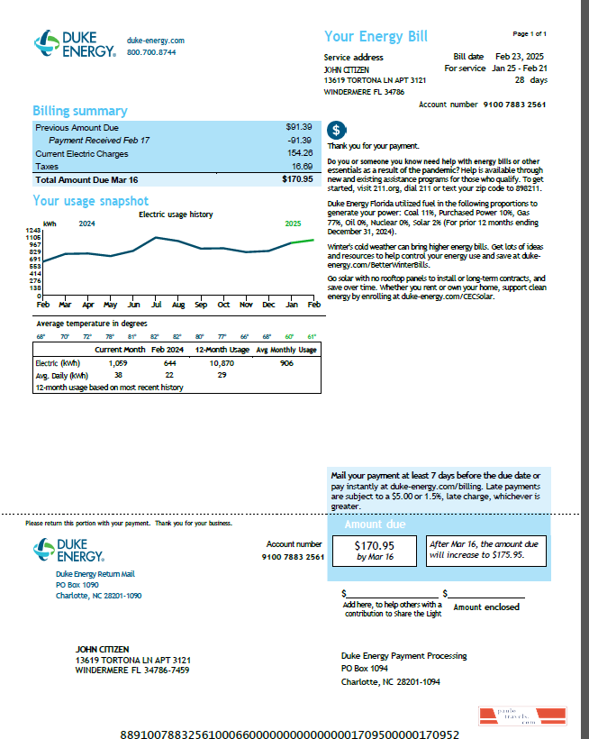 USA Duke Energy utility bill template in Word and PDF formats, version 5